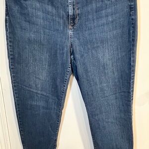 J. Jill Women's Skinny Jeans in Classic Blue